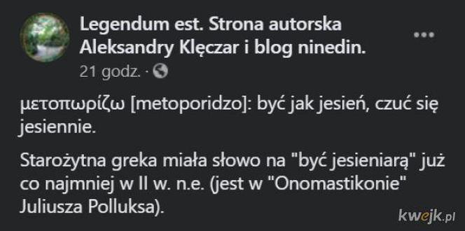 Kocyki, sesje w liściach, czyli jesieniary wracają! Zobacz najlepsze memy 
