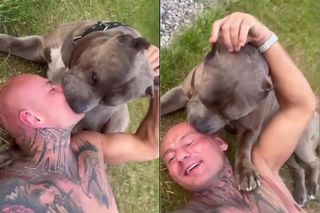 Internet w szoku po tym, co zrobił Artur Szpilka ze swoim psem. Czy on się właśnie przelizał?