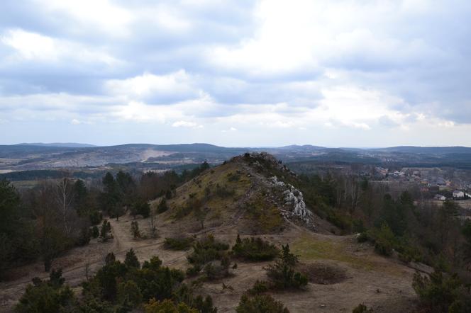 W 54 godziny zdobyli 28 szczytów Korony Gór Świętokrzyskich