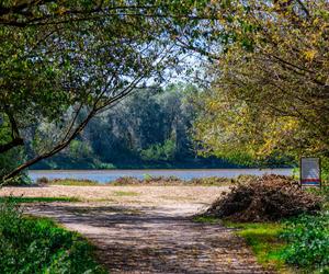 Plaża przy Moście Północnym