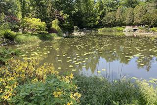 Ogród Japoński we Wrocławiu