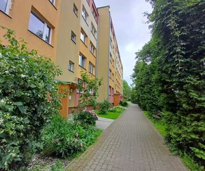 95-latka zmarła z głodu