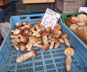 Ceny grzybów na Nowym i Starym Kleparzu w Krakowie