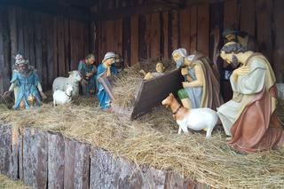 Będzińska Szopka Bożonarodzeniowa