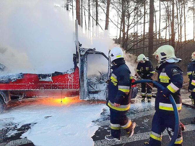 Zobaczcie jak przebiegała akcja strażaków. 