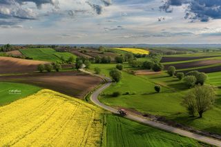 Świętokrzyskie krajobrazy. To miejsca, w których zobaczycie dzikość przyrody