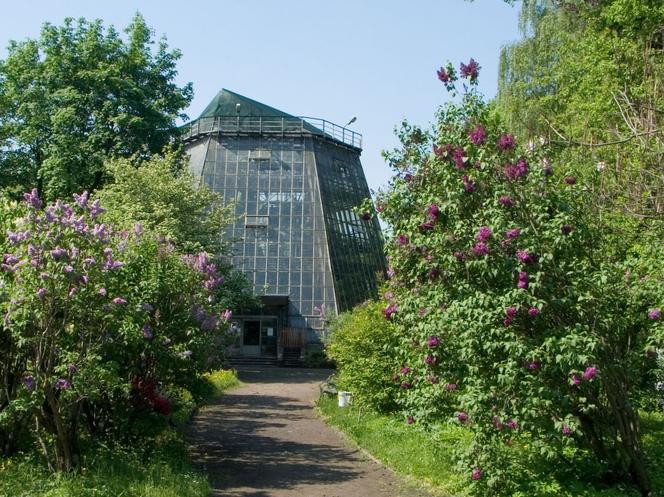 7 najładniejszych ogrodów botanicznych w Polsce. Kiedy je odwiedzić i gdzie są?