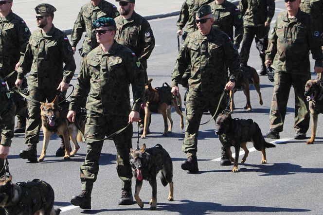 Defilada Wojska Polskiego bez psów. Upały pokrzyżowały plany. Znamy szczegóły