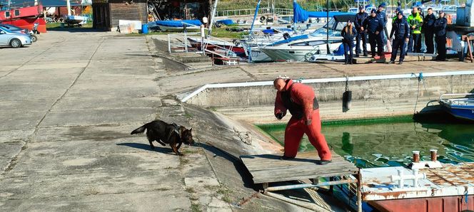 ćwiczenia nad Zalewem Sulejowskim