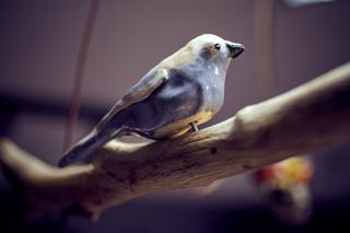 pracownia artystyczna Aniołowo