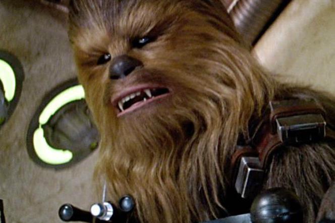 Za Star Wars do więzienia?! Chewbacca aresztowany na Ukrainie 