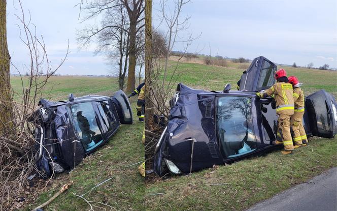 Auto wypadło z drogi i zatrzymało się na drzewie! O krok od tragedii pod Mogilnem [ZDJĘCIA]