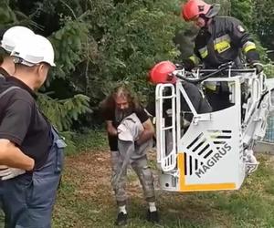 Strażacy z Przemyśla uratowali bocianie pisklę, którego mama zginęła