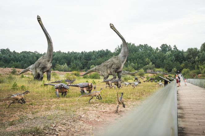 JuraPark w Krasiejowie. Podróż w czasie o miliony lat tylko godzinę drogi z Katowic