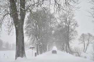 Czy wrócą mrozy? Wskaźniki na termometrach ponownie pokażą BARDZO NISKIE temperatury