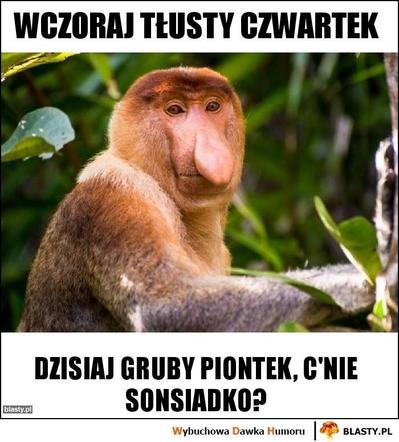 Memy na tłusty czwartek 2024