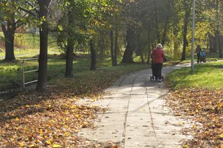 Przymrozki czy mgły? Sprawdź prognozy pogody na długi weekend 