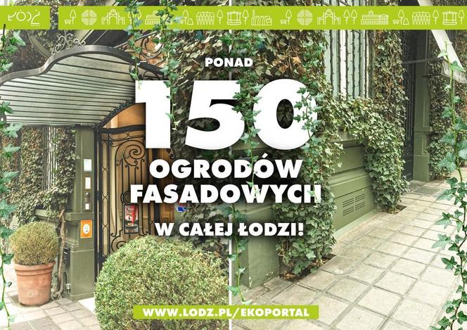 W Łodzi jak w ROTTERDAMIE: oto pierwszy ogród fasadowy! A będzie ich ponad 150!
