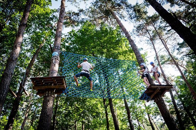 Park Dolina Wkry w Pomiechówku - spacer w koronach drzew, place zabaw, plaża