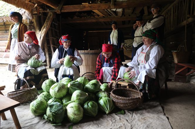 Tak ongiś siekano kapustę w woj. lubelskim. „Obieraczki kapuściane” w Muzeum Wsi Lubelskiej