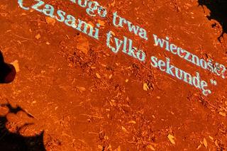 Park Miliona Świateł 