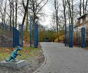 Park Bednarskiego w Krakowie