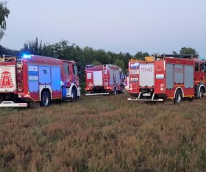 Motolotnia runęła na ziemię. Pilot w stanie ciężkim