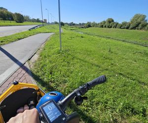 Nasz test rowerów cargo