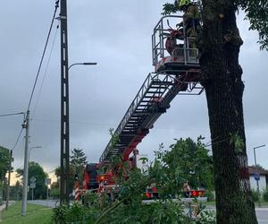 Burze i nawałnice nad Podkarpaciem. Strażacy interweniowali prawie 500 razy [ZDJĘCIA]