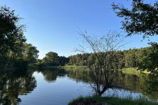 Wyjątkowe miejsce w Poznaniu. Staw Młyński i użytek ekologiczny Łęgi Potoku Różanego