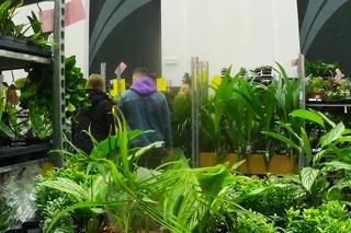 Gratka dla miłośników zieleni. Festiwal Roślin w Netto Arenie przyciąga tłumy