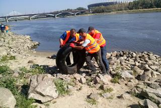 Sprzątanie Wisły. Znaleziona opona.