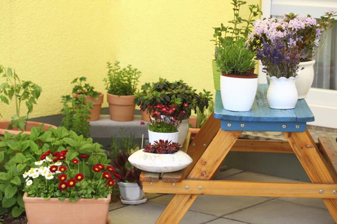 balkony w kwiatach