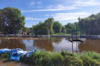 Powódź błyskawiczna w Zamościu