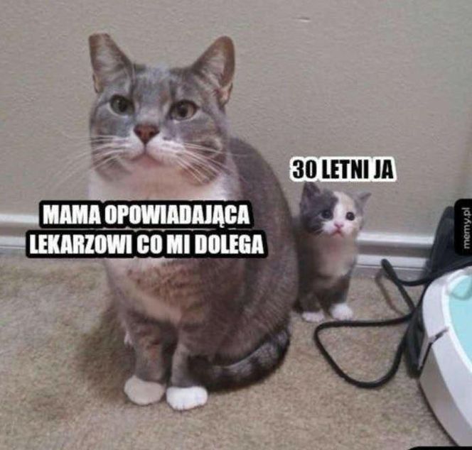 Memy na Dzień Mamy 2025