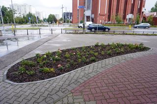 Kontrowersyjny skwerek na Ursynowie latem 2025