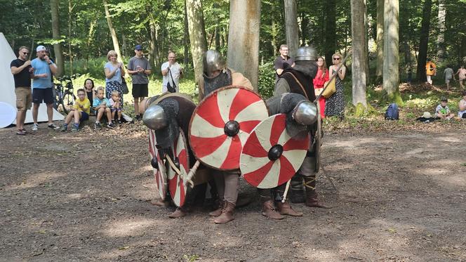 Festiwal Historii i Kultury Średniowiecznych Prus w Olsztynie przyciągnął tłumy. Zobacz zdjęcia!