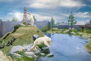 Nowiutki basen w Warszawskim ZOO to dopiero początek! Wybudują luksusowy wybieg dla niedźwiedzi