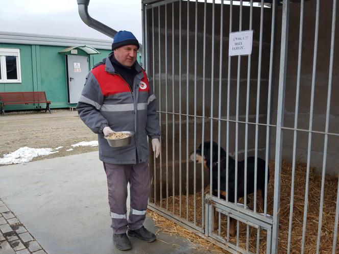 Schronisko dla bezdomnych zwierząt w Henrykowie będzie większe. Powstanie przy nim cmentarz dla zwierząt