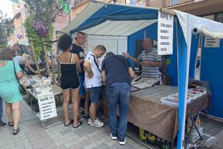 Targ staroci Winobranie 2024 w Zielonej Górze