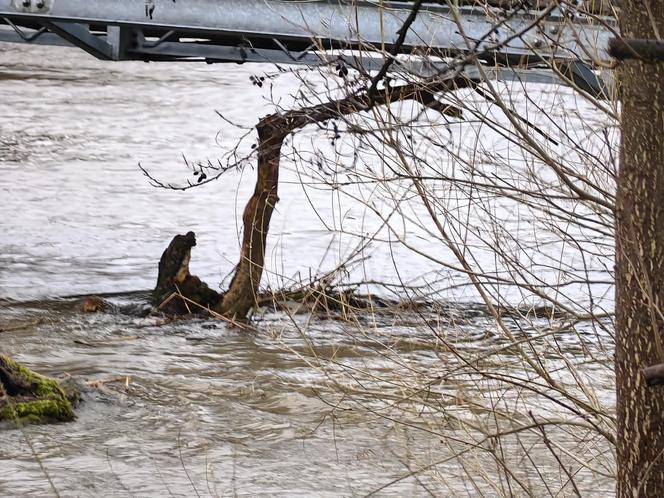 Rzeka Pasłęka pzrekroczyłą stan alarmowy