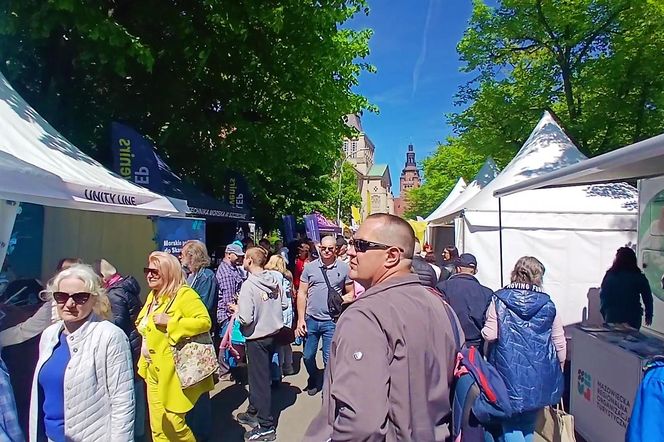 Piknik nad Odrą