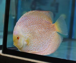 ZooPark ponownie przyciągnął do Targów Lublin tłumy miłośników zwierząt