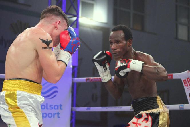 Gala bokserska Białystok Boxing Night