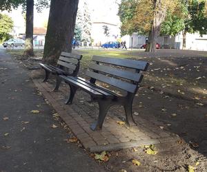 Zmienia się skwer na rogu Wałowej i Marcinkwoskiego w Lesznie. Będą nowe nasadzenia i budka meteo