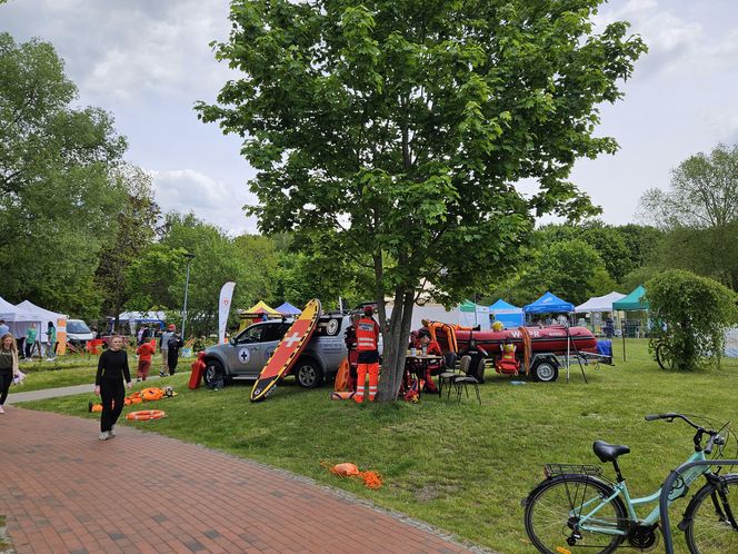Festiwal Przyjaciół Zwierząt w Olsztynie. Park Centralny opanowały radosne pieski