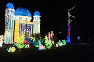 Ogród Świateł Lampa Aladyna w Chorzowie już otwarty!