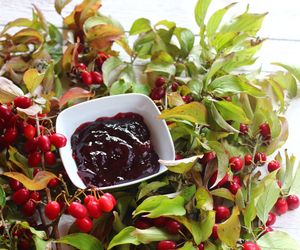 Dereń: kiedy zrywać owoce derenia jadalnego? Co można z nich zrobić?