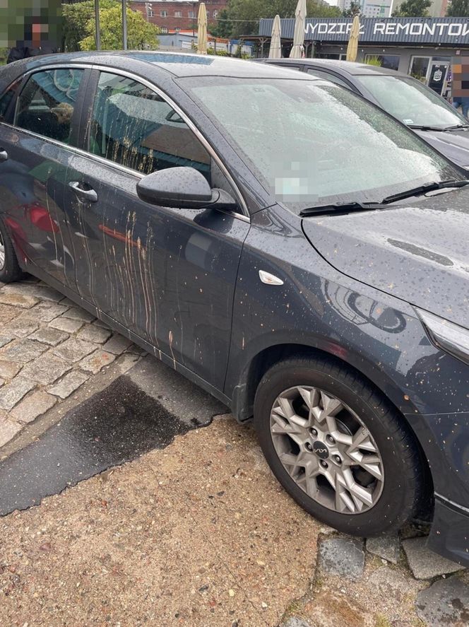 Aktywiści Ostatniego Pokolenia zatrzymani w Gdańsku