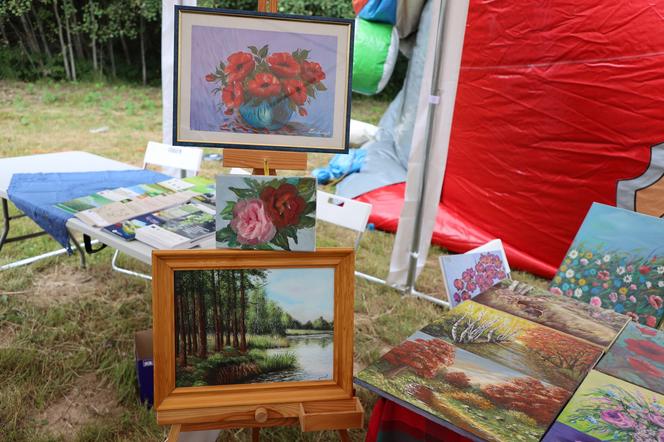 Za nami wyjątkowy piknik w Bardzie! Działali razem dla lokalnych organizacji pozarządowych [ZDJĘCIA]